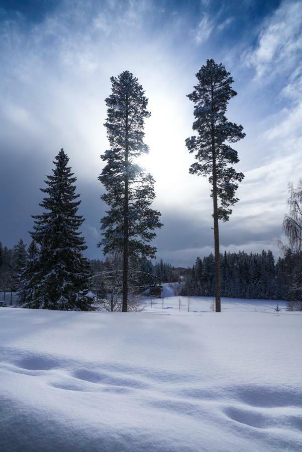 Asarna Skicenter المظهر الخارجي الصورة