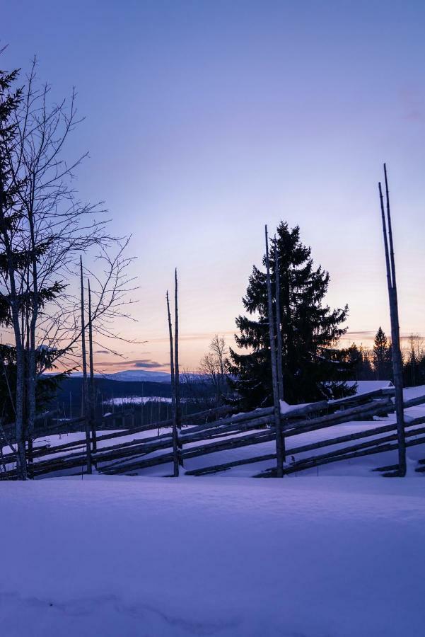 Asarna Skicenter المظهر الخارجي الصورة